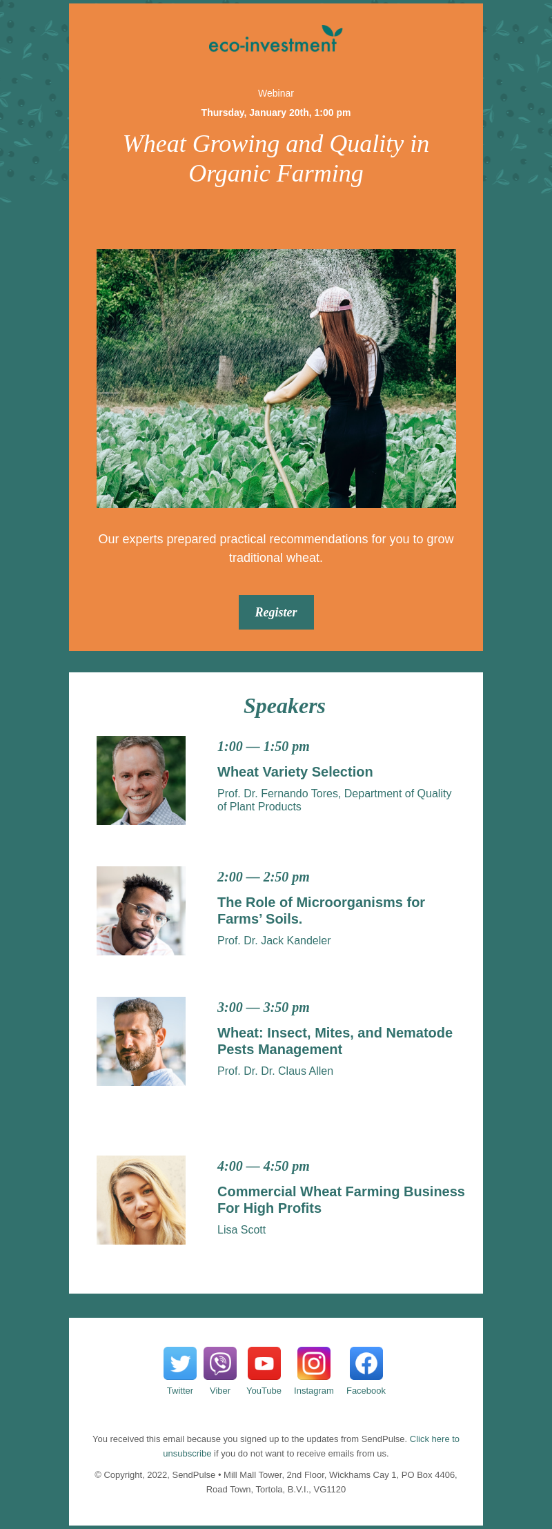 Business free email template